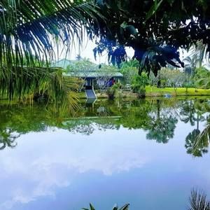 Meet your Posher, Dorothy